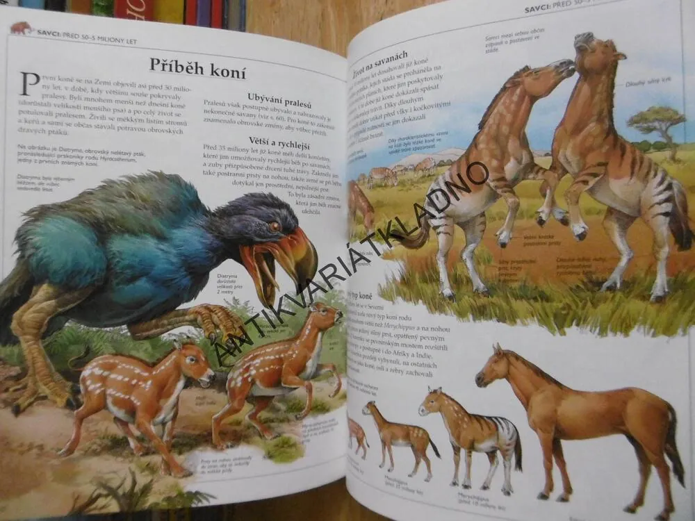 PRAVĚK, ILUSTROVANÉ DĚJINY SVĚTA, **an