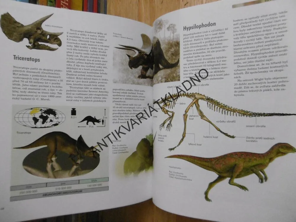 DINOSAUŘI, OBJEVY, DRUHY, ZÁNIK, **an