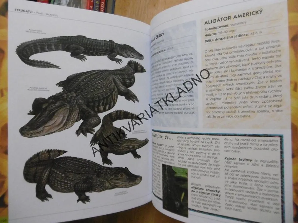 ZÁZRAČNÝ SVĚT ŽIVOČICHŮ OD PRVOKŮ PO SAVCE, **an