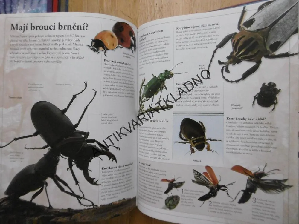 OHROMUJÍCÍ FAKTA O ZVÍŘATECH, **an