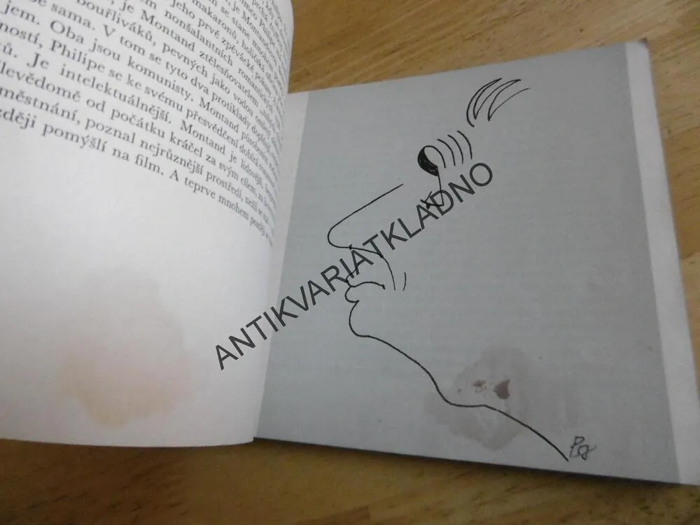 ZNÁTE JE Z PLÁTNA, J.BOČEK, **an