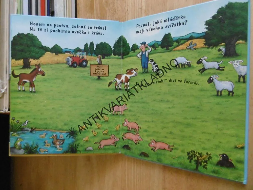STATEK, HRAJEME SI S MAGNETKY, **an