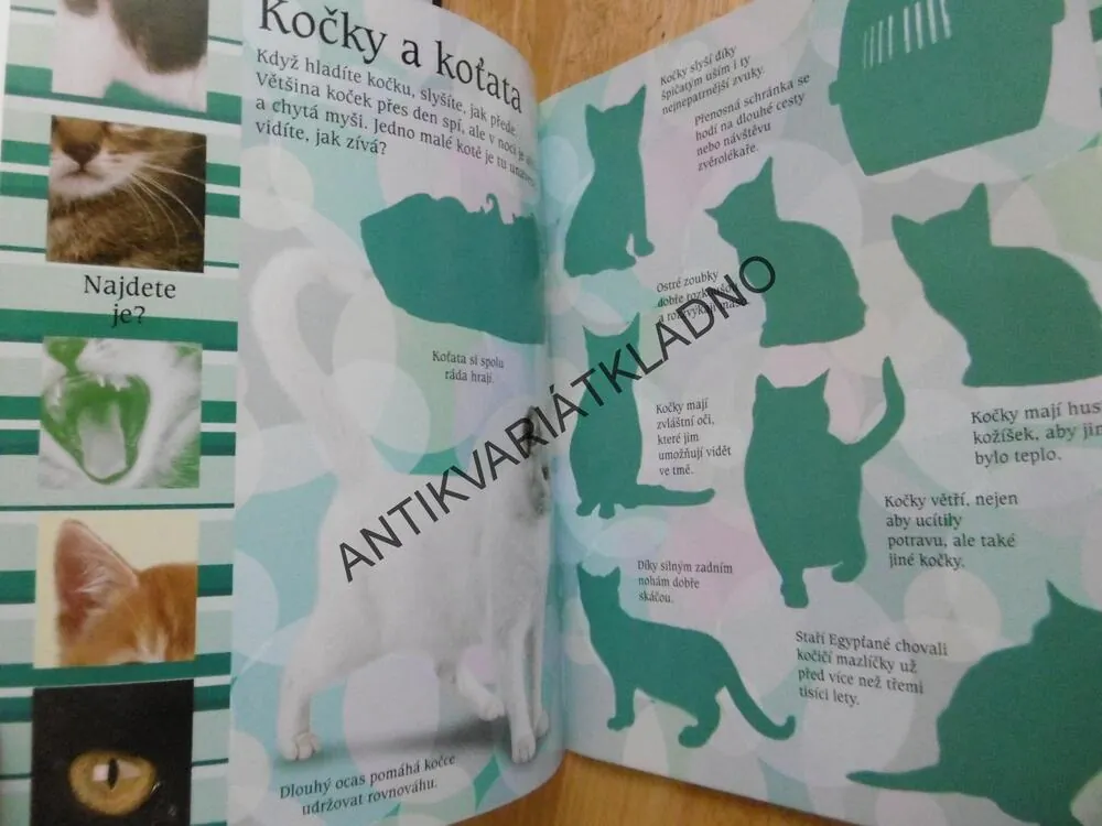 NEJMILEJŠÍ ZVÍŘÁTKA, AKTIVITY SE SAMOLEPKAMI, **an