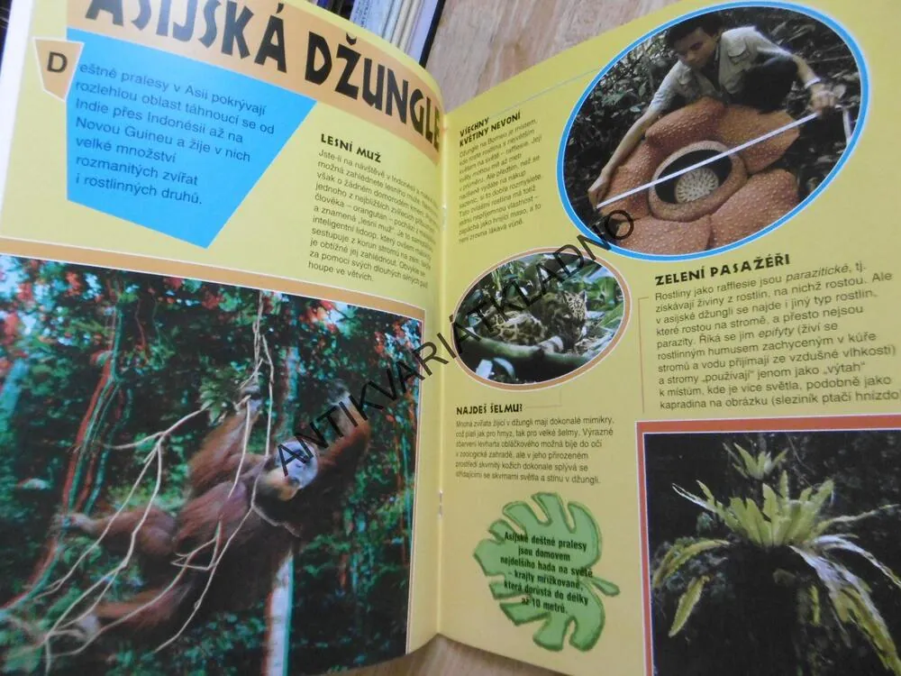 V PRALESE, 3D DOBRODRUŽSTVÍ, **an