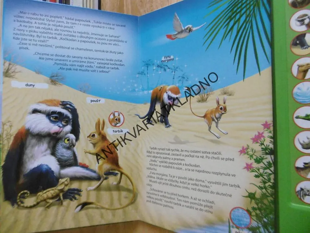 ZVÍŘATA ZE ZOO, **an