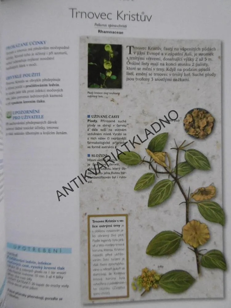 ROSTLINNÁ MEDICÍNA,BYLINKY, HERBÁŘ,**an