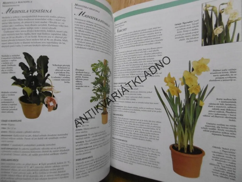 ROSTLINY V BYTĚ,POKOJOVÉ KVĚTINY,  READERS DIGEST VÝBĚR, **an