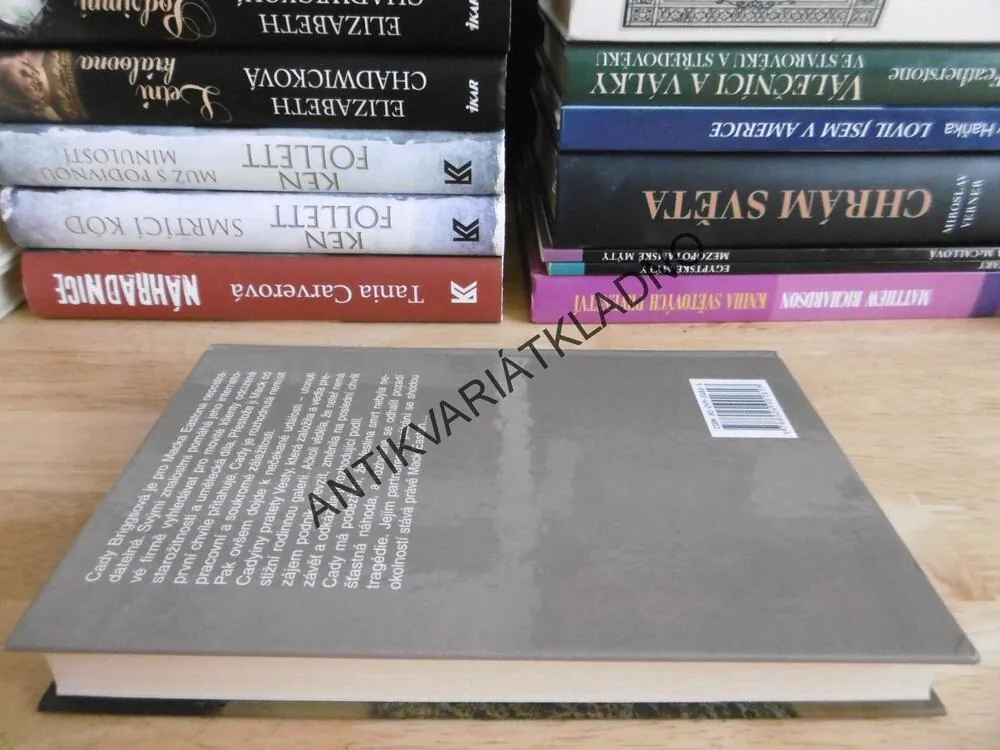 ZÁHADNÁ MOZAIKA, JAYNE ANN KRENTZOVÁ, **an