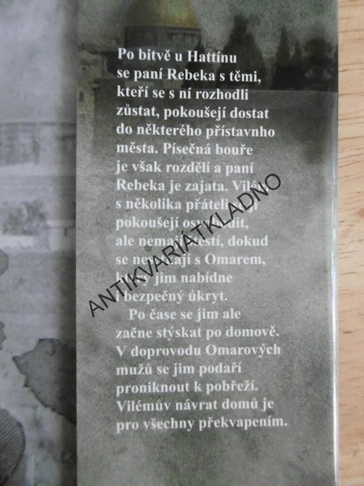 PŘÍSTAV POSLEDNÍ NADĚJE, JAN VYROUBAL, **an