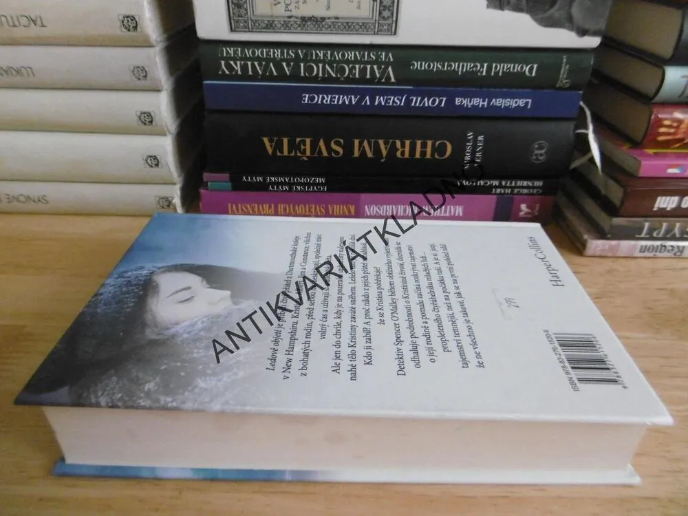 LEDOVÉ OBJETÍ, PAULLINA SIMONSOVÁ, **an