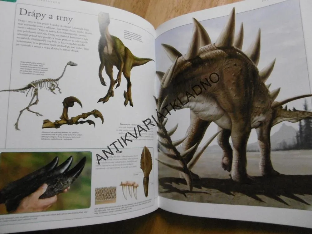 DINOSAUŘI, VELKÁ DĚTSKÁ ENCYKLOPEDIE, SURMAN, 142 DRUHŮ