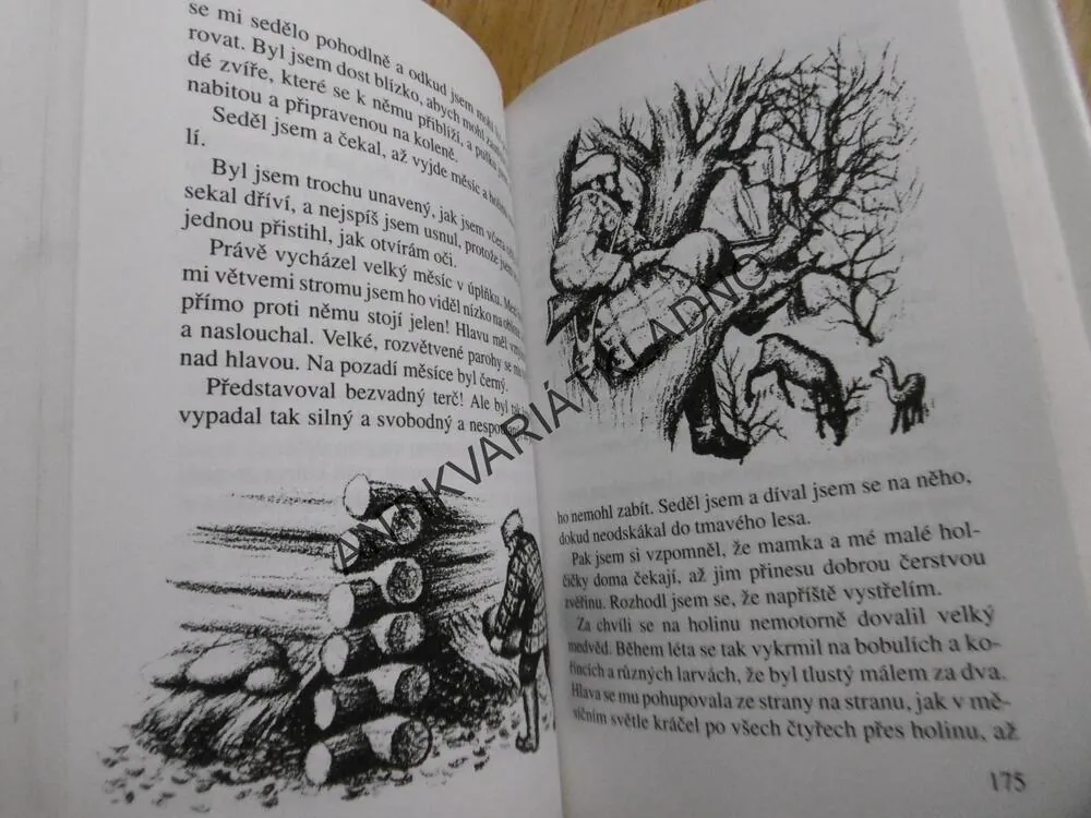 UPROSTŘED HLUBOKÝCH LESŮ A MEZI INDIÁNY, LAURA INGALLSOVÁ WILDEROVÁ, **an
