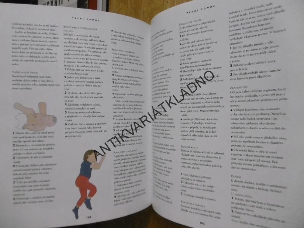 TĚHOTENSTVÍ A PÉČE O DÍTĚ, PRAKTICKÁ PŘÍRUČKA, ALISON MACKONOCHIEOVÁ, **an