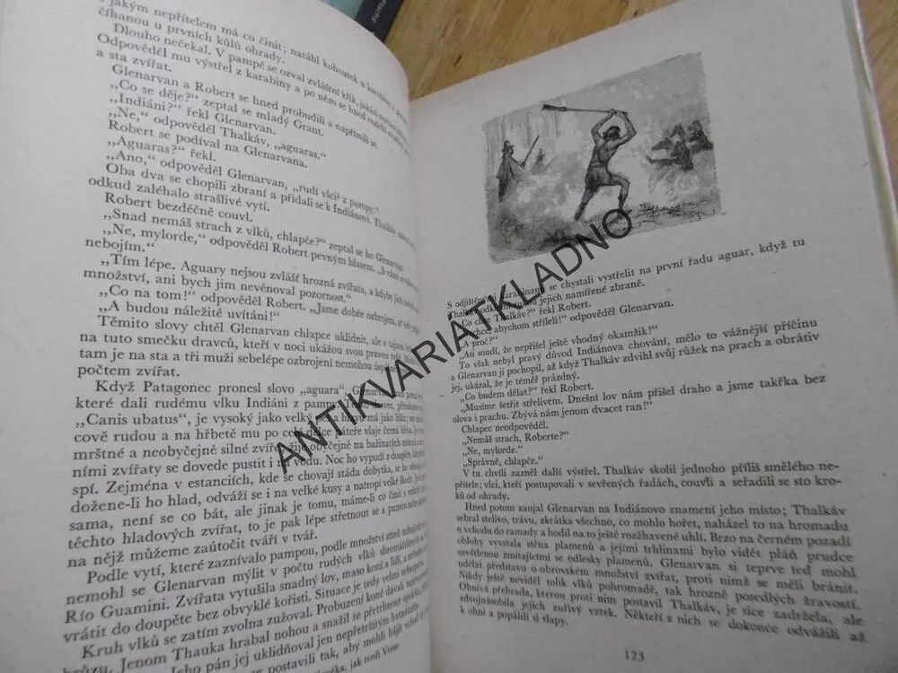DĚTI KAPITÁNA GRANTA, JULES VERNE, **an