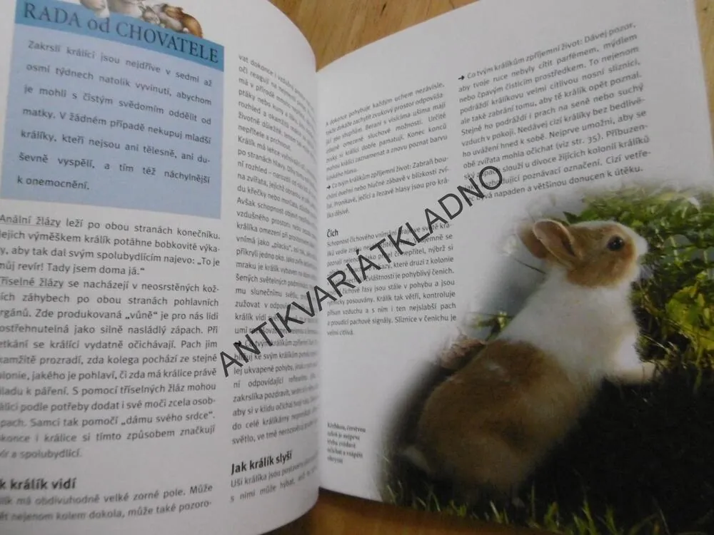 MŮJ ZAKRSLÝ KRÁLÍK A JÁ, M.WEGLEROVÁ,**an