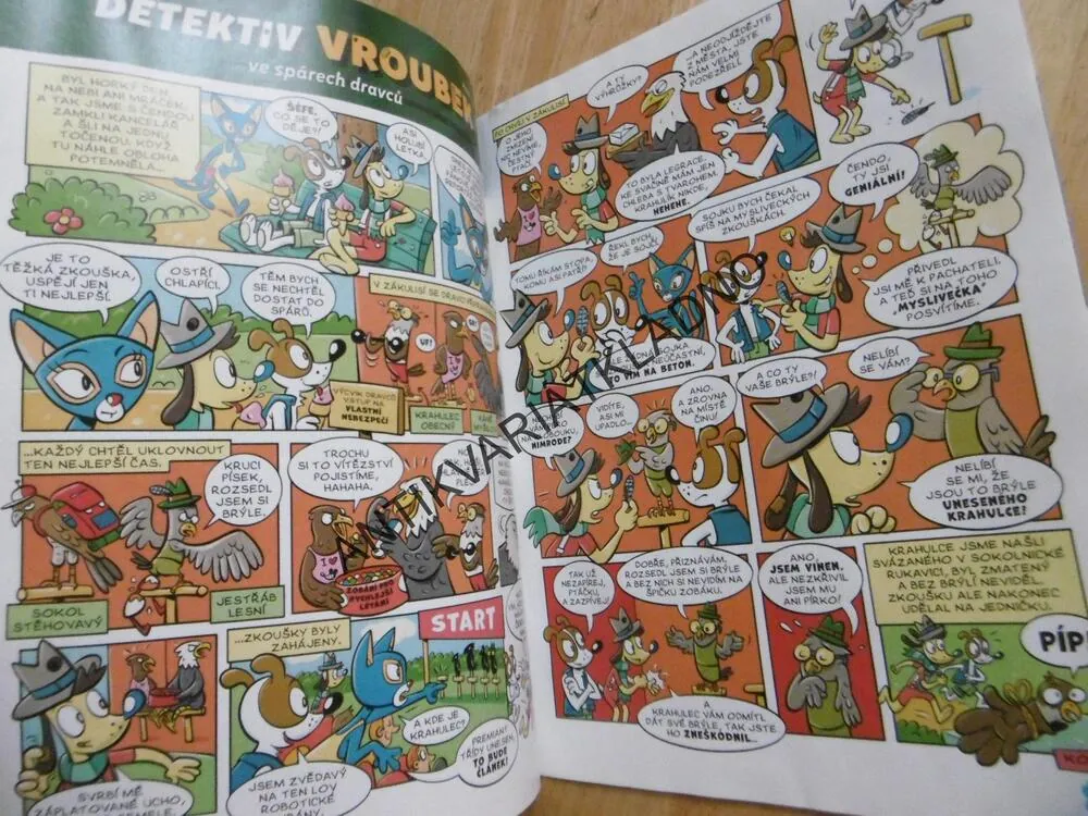 ČTYŘLÍSTEK 651 - DOMEČEK SPLNĚNÝCH PŘÁNÍ
