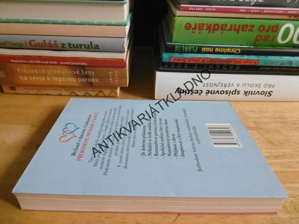 PŘEKONEJTE NESNÁZE V LÁSCE, R. A K.CARLSONOVI, **an