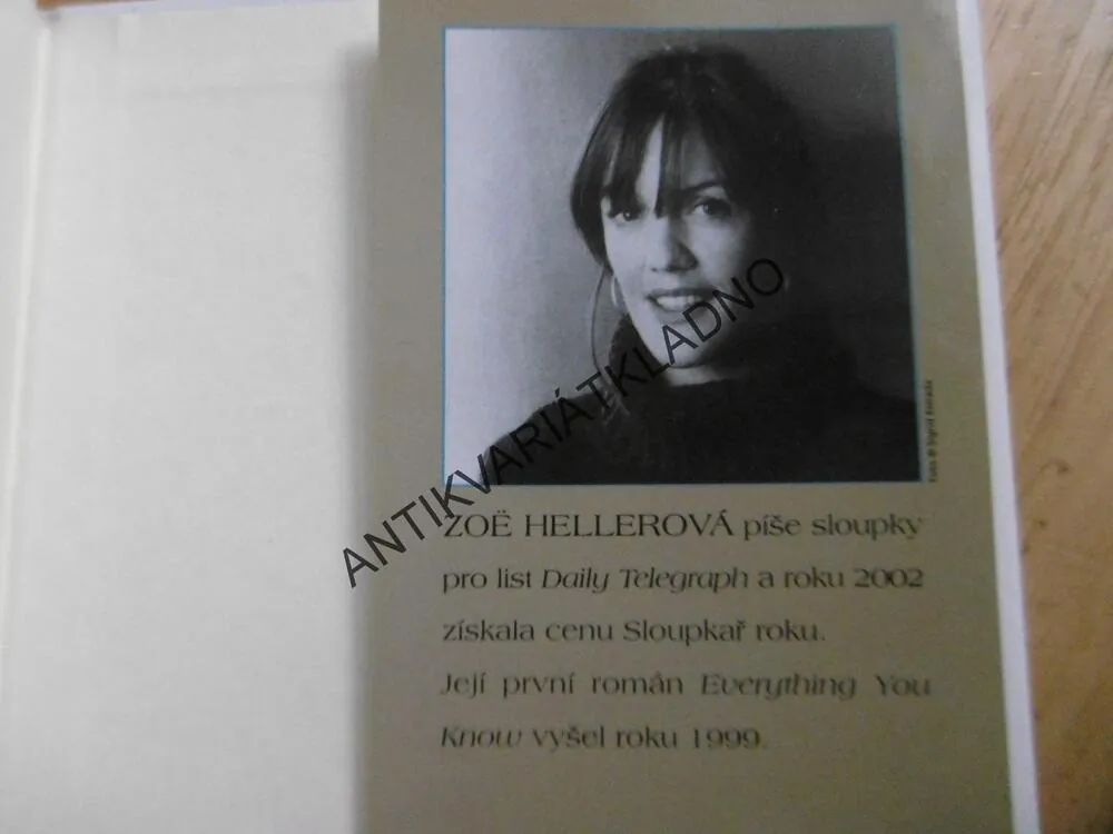 ZÁPISKY O SKANDÁLU, Z.HELLEROVÁ, **an
