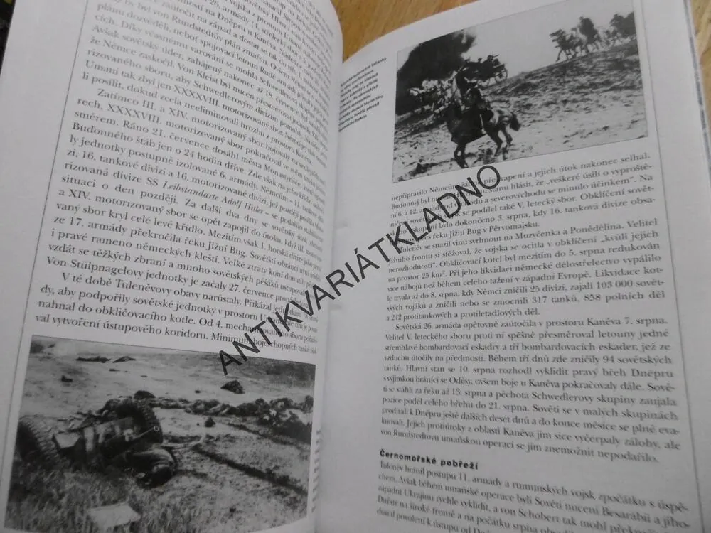 OPERACE BARBAROSSA 1941, SKUPINA ARMÁD JIH, VÁLEČNÁ TAŽENÍ, **an