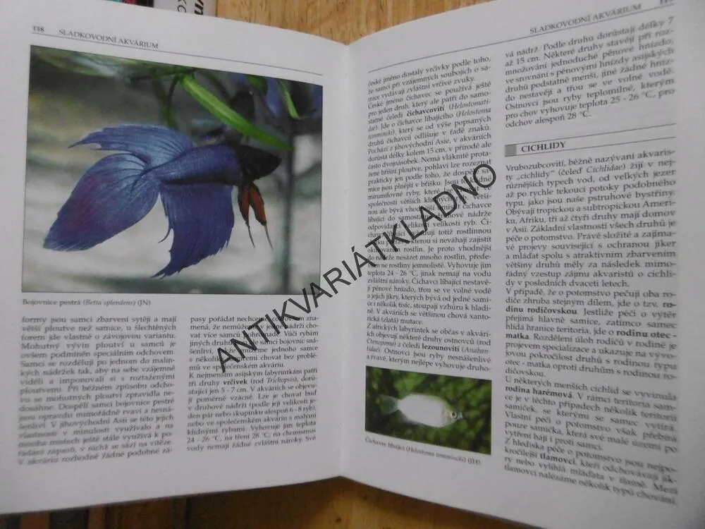 AKVARIUM SLADKOVODNÍ A MOŘSKÉ, J.HOFFMAN, **an