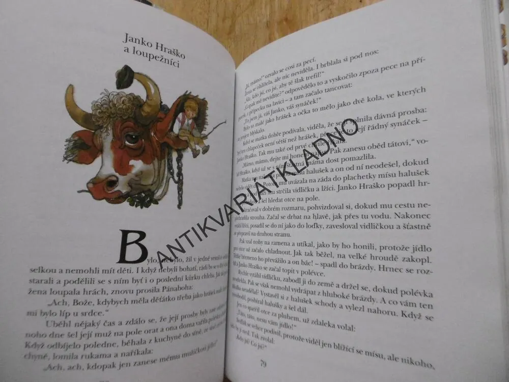 ZLATOVLASÝ RYTÍŘ ANEB KRÁLEVIC NEVÍMNIC, NEZNÁMÝ VÍTĚZ V BOJI, PETER GLOCKO, VLADIMÍR MACHAJ, **an