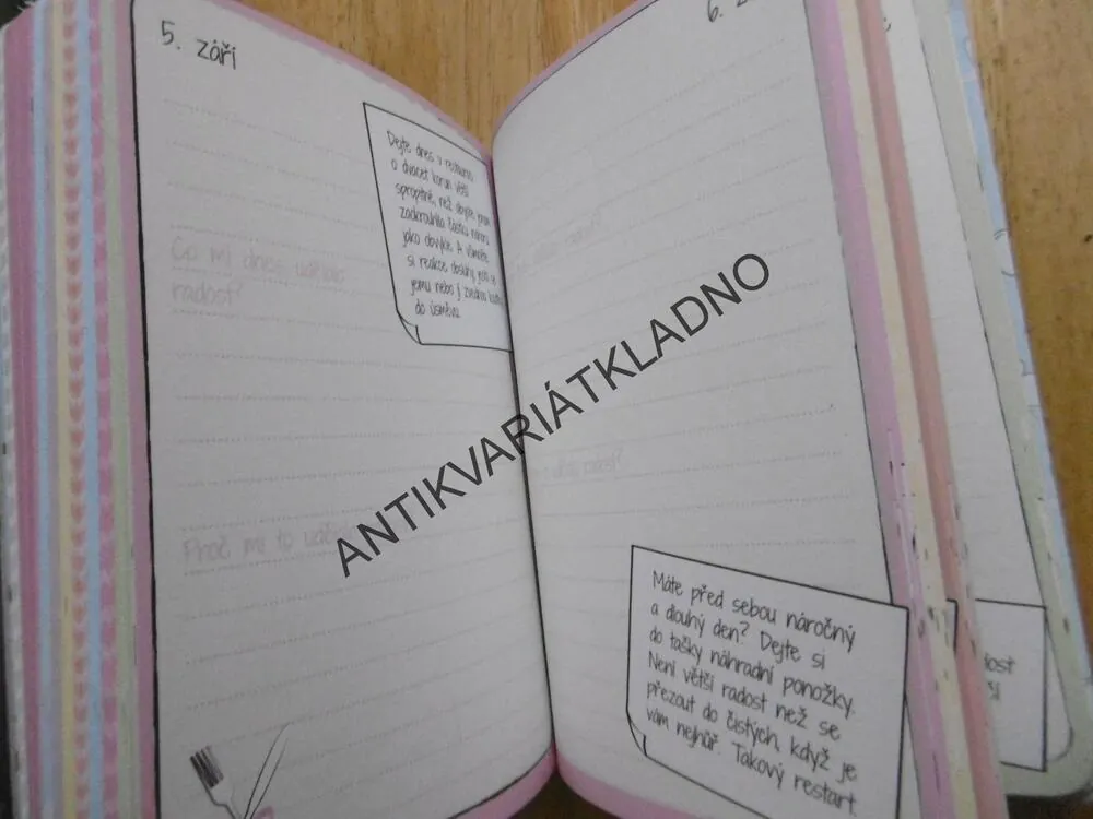 ZÁPISNÍK RADOSTI, **an