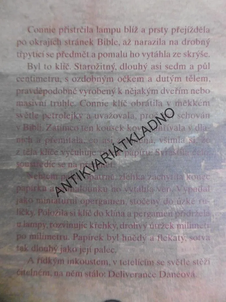 LEXIKON LEKTVARŮ PANÍ DANEOVÉ, KATHERNE HOWEOVÁ, **an