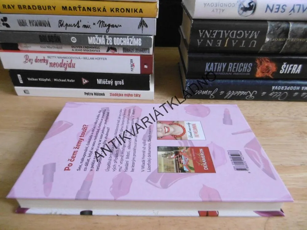 PO ČEM ŽENY TOUŽÍ, FAY WELDONOVÁ, **an