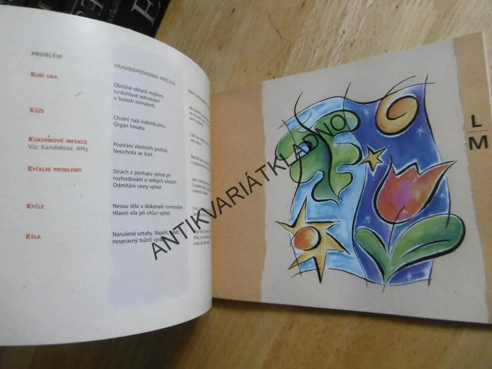 UZDRAV SVÉ TĚLO A - Z, LOUISE L.HAY, **an