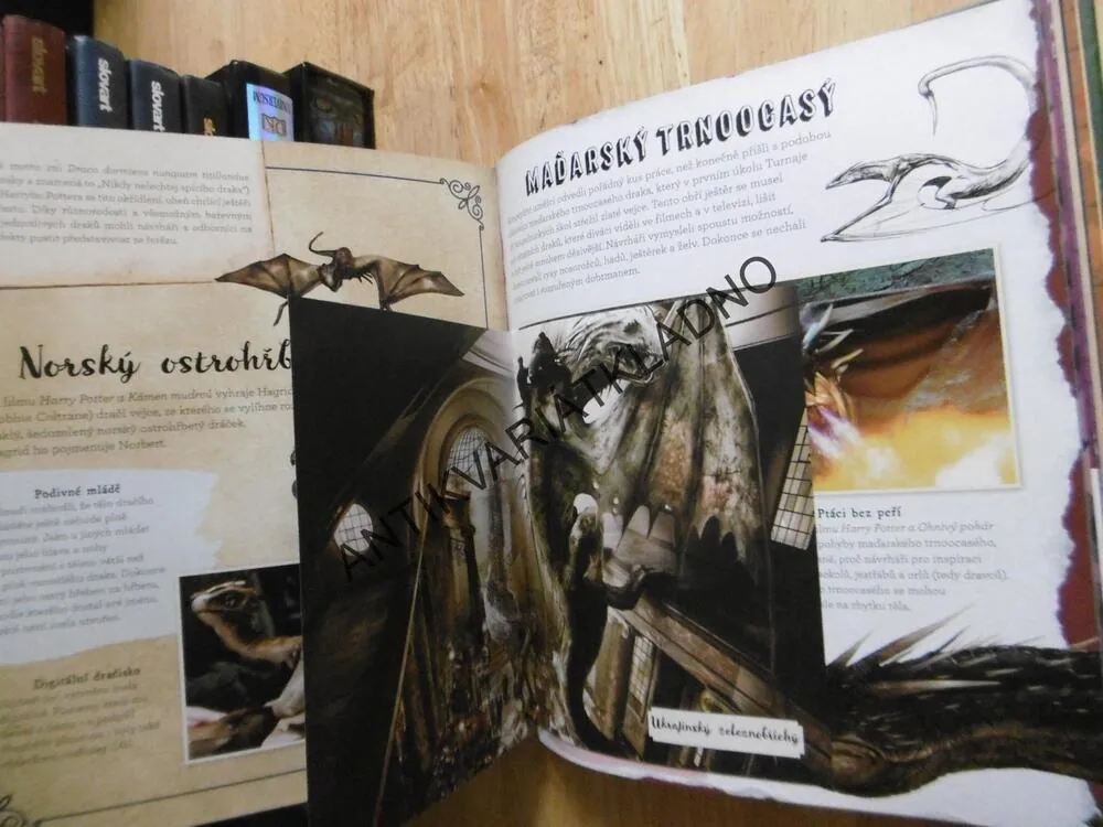J. K. ROWLING'S WIZARDING WORLD, FILMOVÁ MAGIE, NEOBYČEJNÉ BYTOSTI, **an
