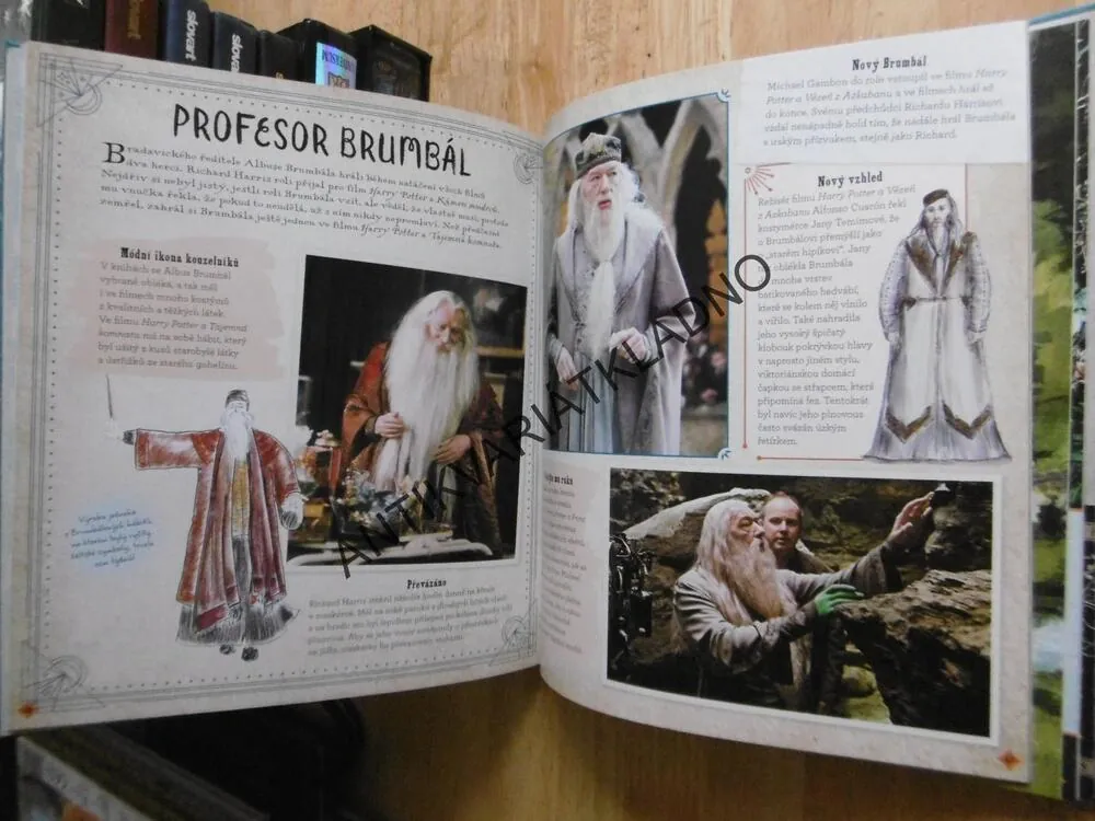 KOUZELNICKÝ SVĚT J. K. ROWLING, FILMOVÁ MAGIE, POZORUHODNÍ LIDÉ A KOUZELNÁ MÍSTA, **an