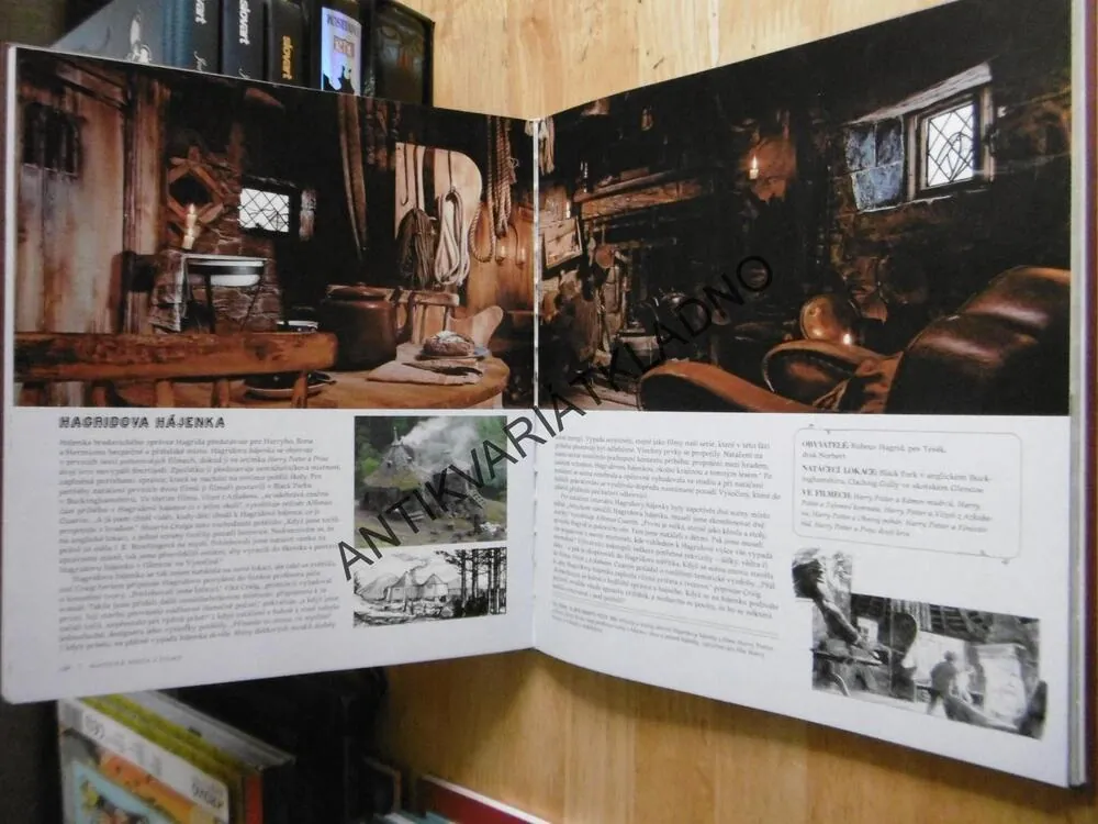 HARRY POTTER, MAGICKÁ MÍSTA Z FILMŮ, BRADAVICE, PŘÍČNÁ ULICE A JEŠTĚ DÁL, **an