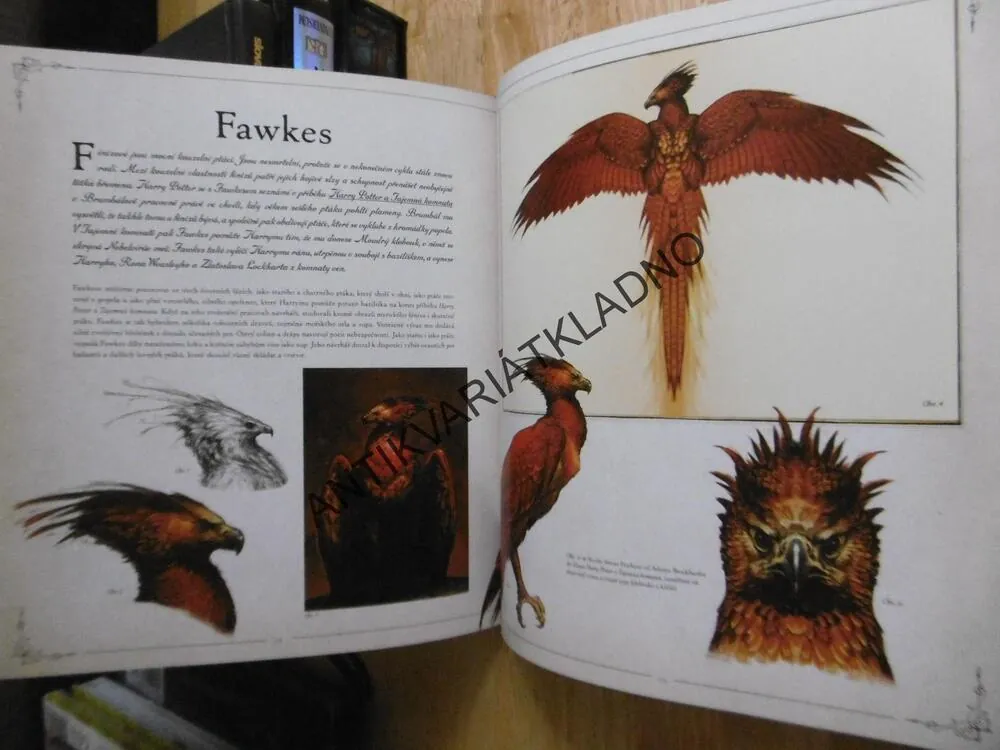 HARRY POTTER, BESTIÁŘ HARRYHO POTTERA, **an