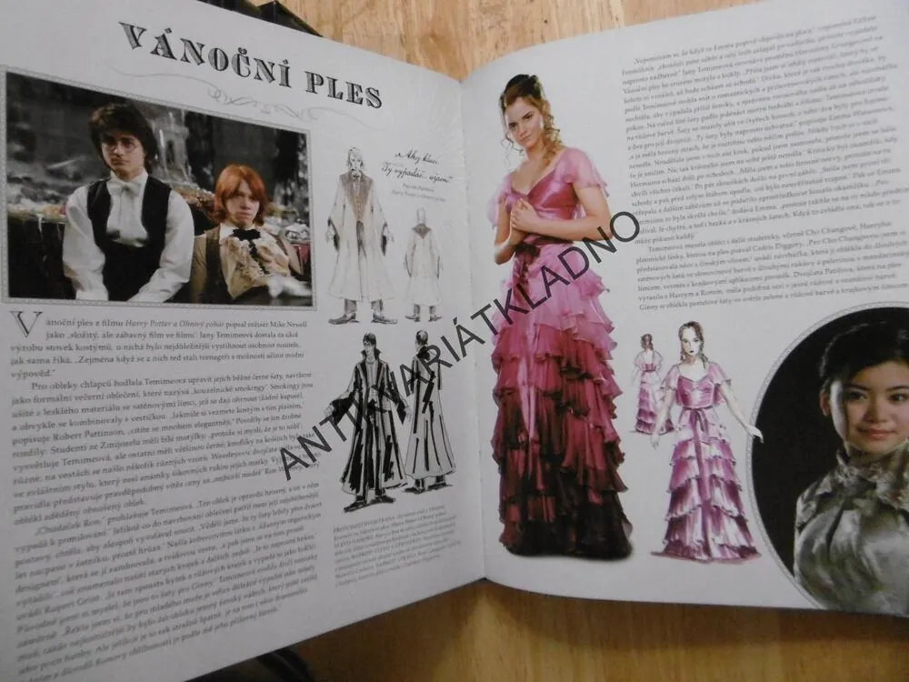 HARRY POTTER, PANOPTIKUM POSTAV, **an