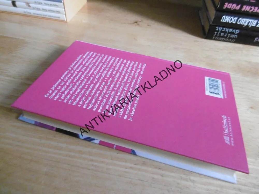NEPŘIROZENÁ SMRT, LEAH RUTH ROBINSONOVÁ, **an