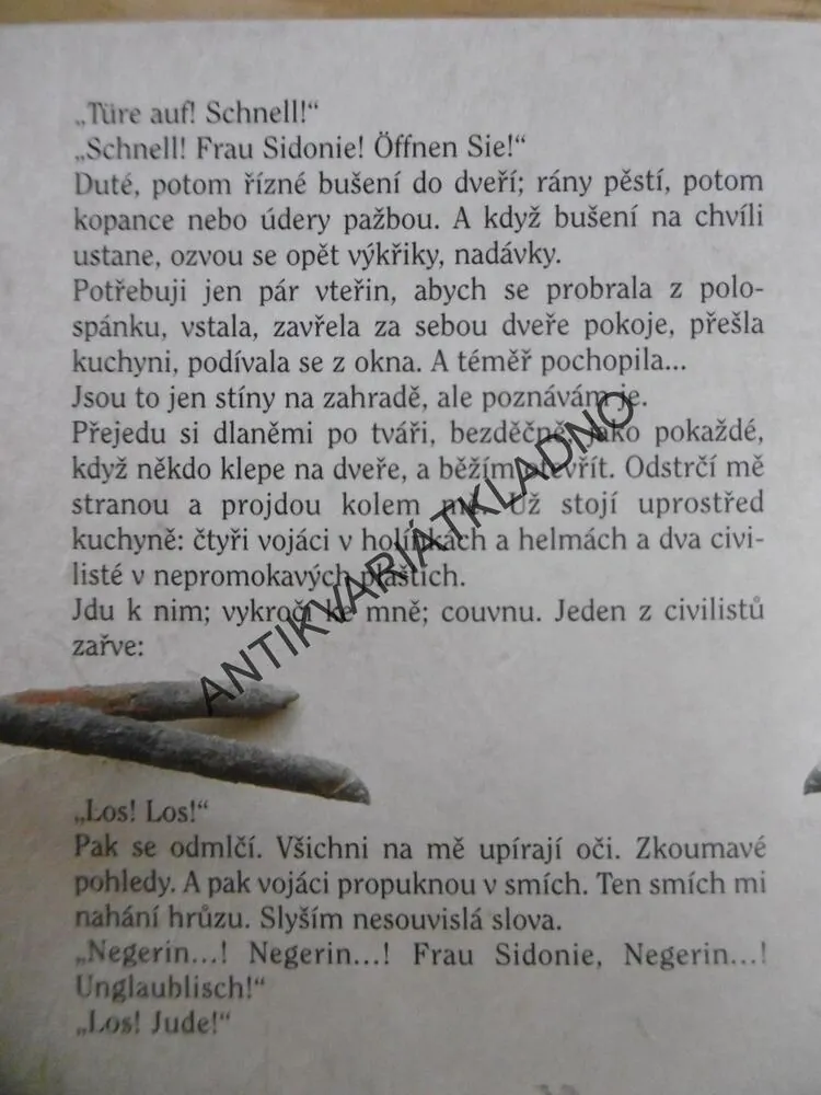 ČERNÁ HVĚZDA, MICHELLE MAILLET, **an