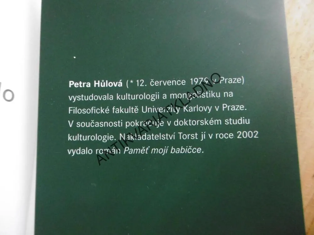 PŘES MATNÝ SKLO, PETRA HŮLOVÁ, **an