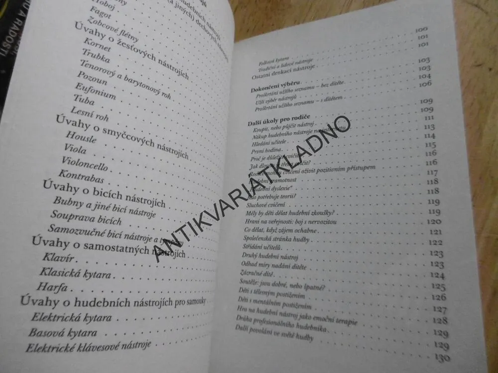 HUDEBNÍ NÁSTROJ A NAŠE DÍTĚ, **an