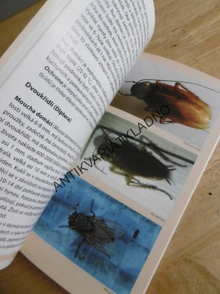 ŠKODLIVÍ A OBTÍŽNÍ ŽIVOČICHOVÉ KOLEM NÁS, JANA SEDLÁČKOVÁ, **an