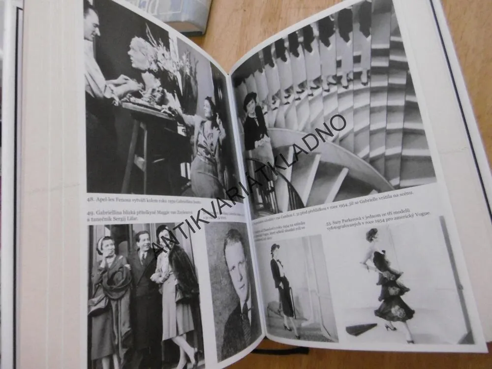 COCO CHANEL, POHLED ZBLÍZKA, LISA CHANEYOVÁ, **an