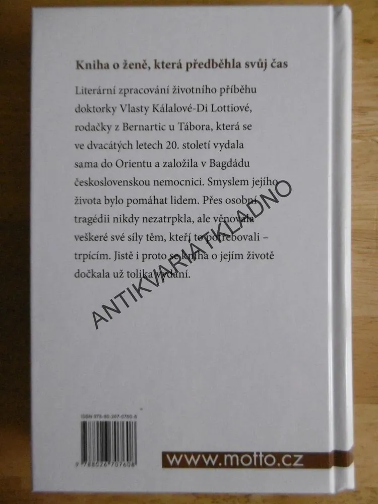DOKTORKA Z DOMU TRUBAČŮ, ILONA BORSKÁ