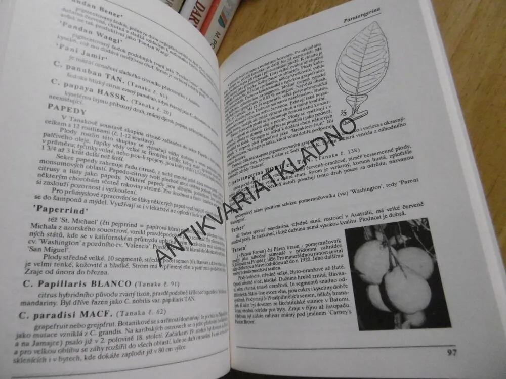 CITRUSY OD A DO Z, JIŘÍ ŠAMLA, **an