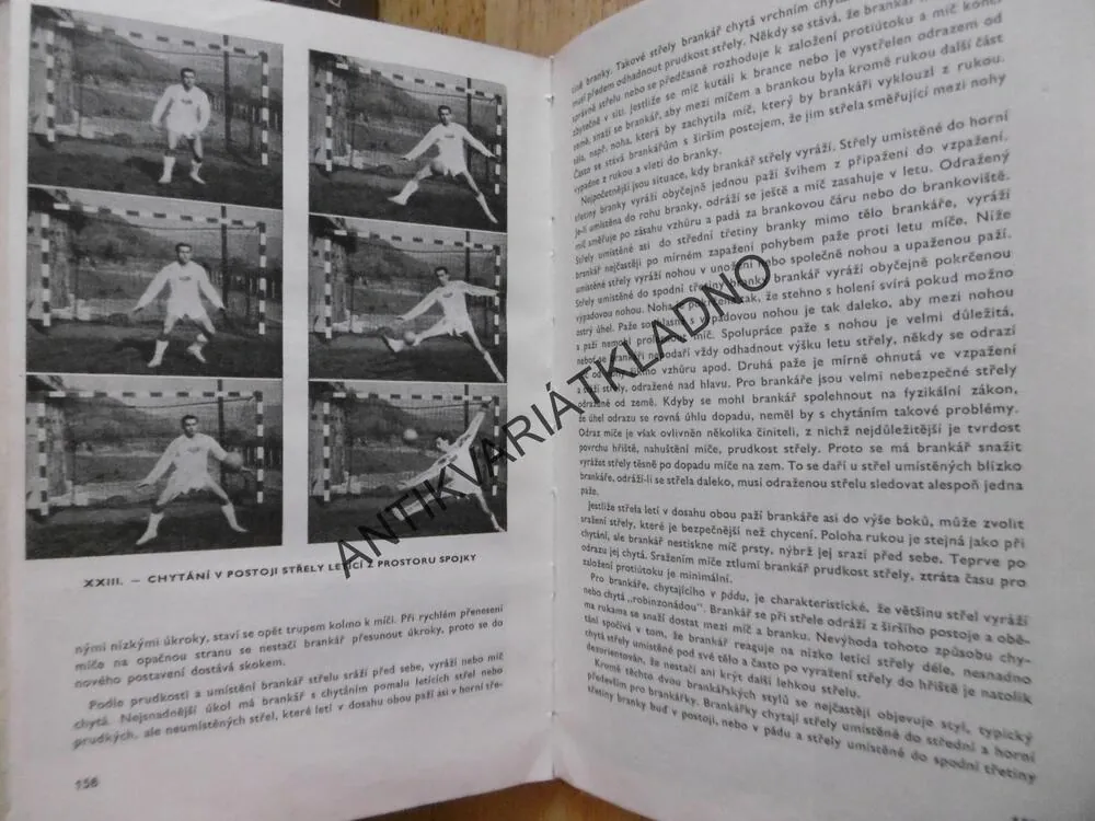 HÁZENÁ MLÁDEŽE, **an