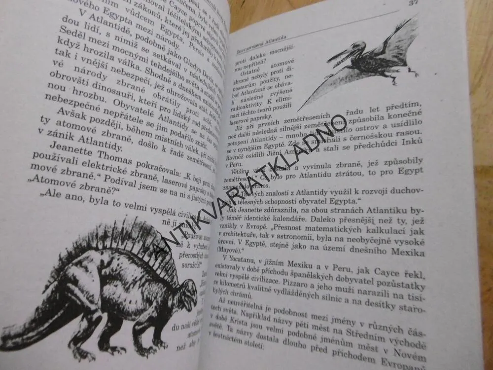 MINULÉ ŽIVOTY EDGARA CAYCEHO, STEARN JESS, **an