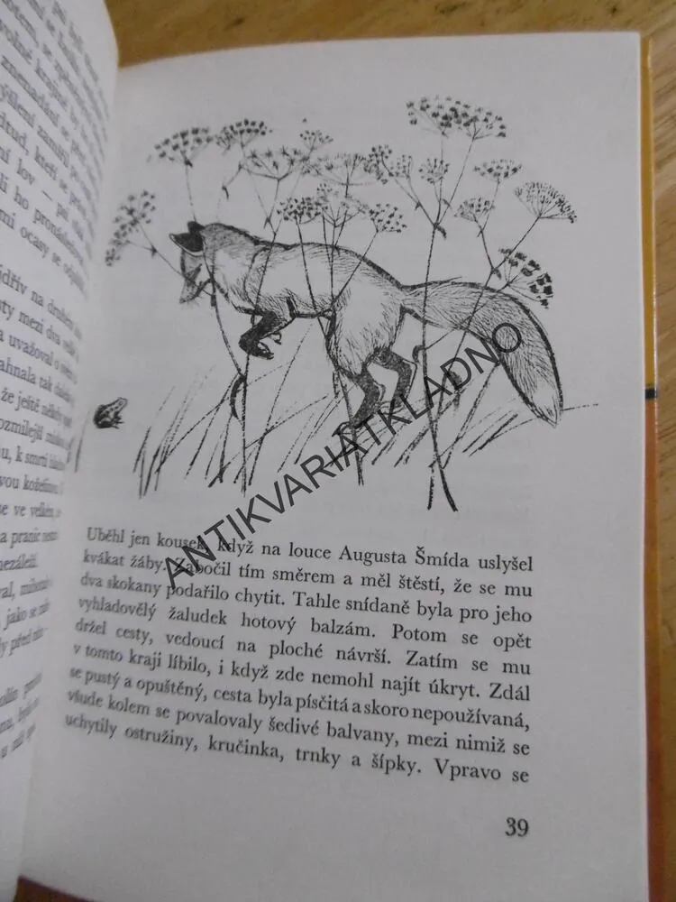 JEZEVEC FRIDOLÍN, HANS FALLADA, **an