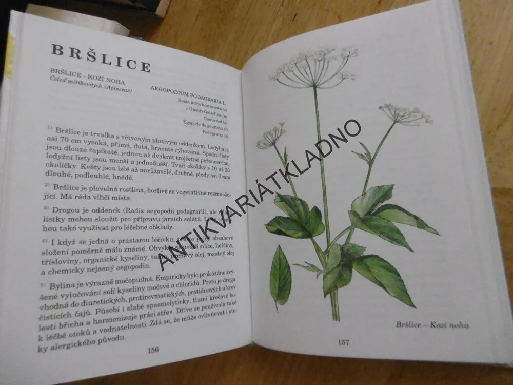 HERBÁŘ LÉČIVÝCH ROSTLIN 1., JIŘÍ JANČA, **an