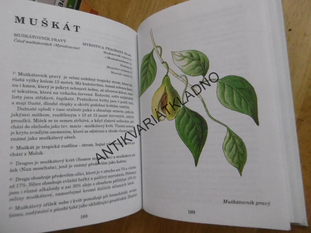 HERBÁŘ LÉČIVÝCH ROSTLIN 3., JIŘÍ JANČA, **an