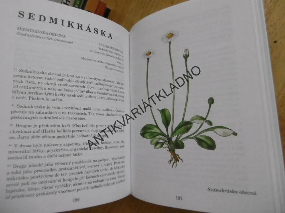 HERBÁŘ LÉČIVÝCH ROSTLIN 4., JIŘÍ JANČA, **an