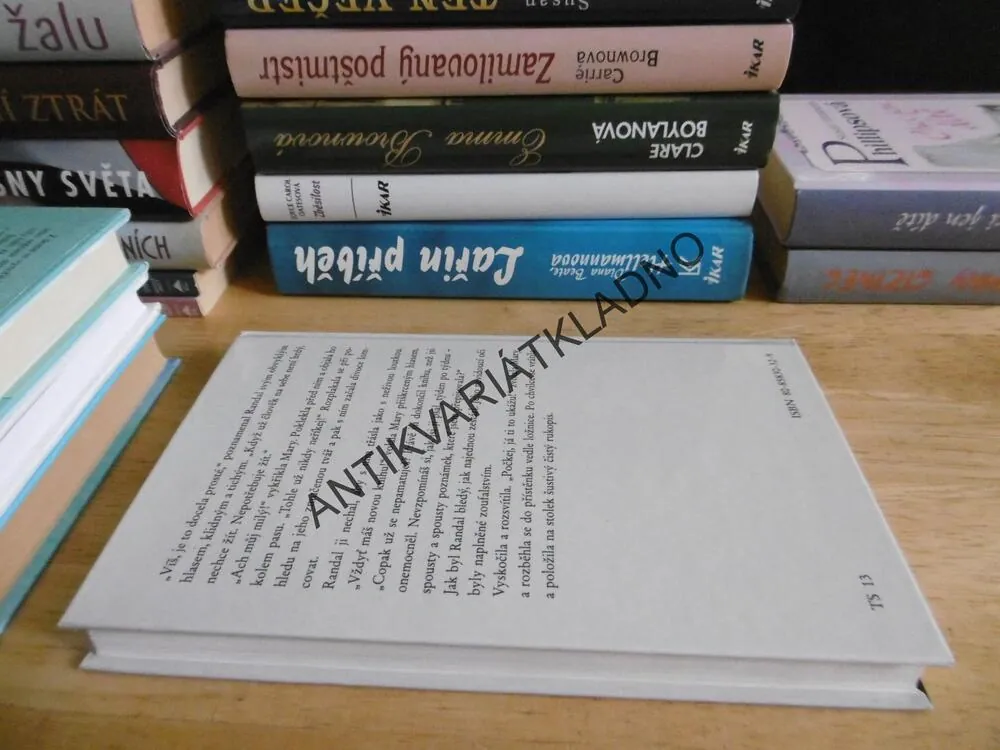 ŽENA NOCI, NANCY PRICEOVÁ, **an