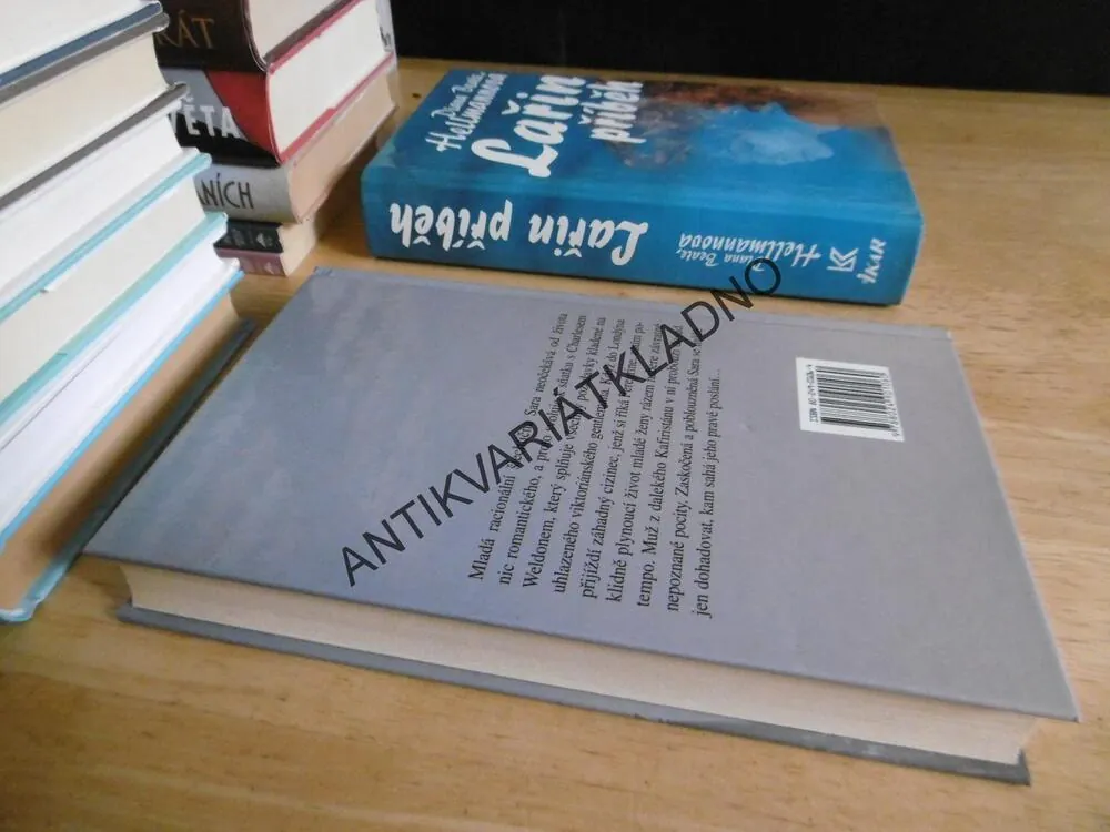 TAJEMNÝ CIZINEC, MARY JO PUTNEYOVÁ, **an